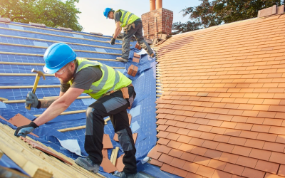 Signs that indicate you may need a new roof.
